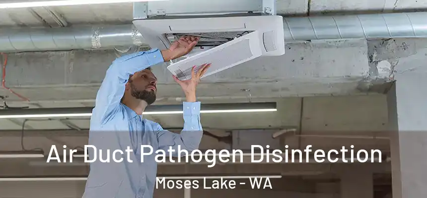Air Duct Pathogen Disinfection Moses Lake - WA