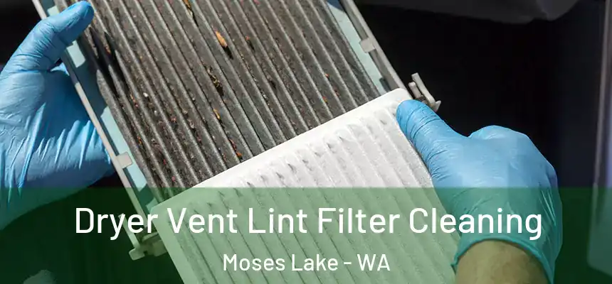  Dryer Vent Lint Filter Cleaning Moses Lake - WA