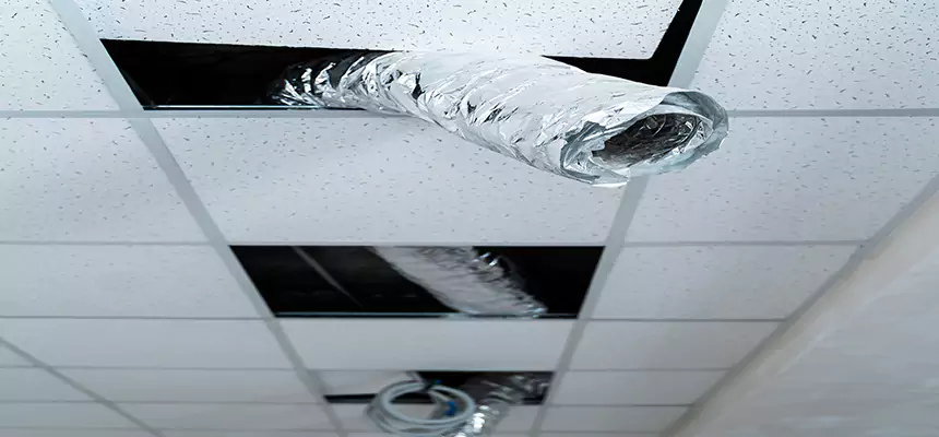 Affordable HVAC Sanitizing After Pest Removal in Moses Lake