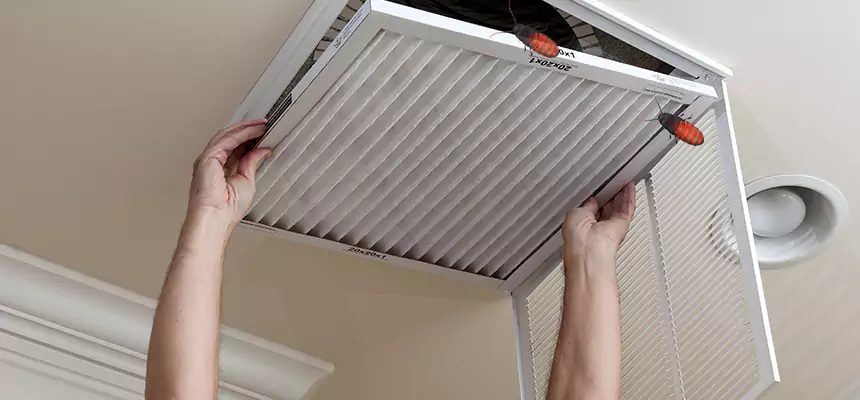 Our Insect Removal from Air Ducts Services in Moses Lake, WA