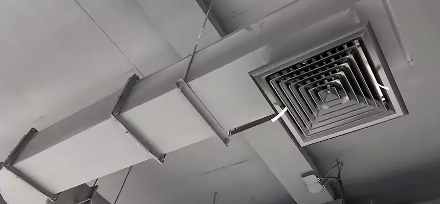 Our Pest Removal From Ducts Services in Moses Lake, WA