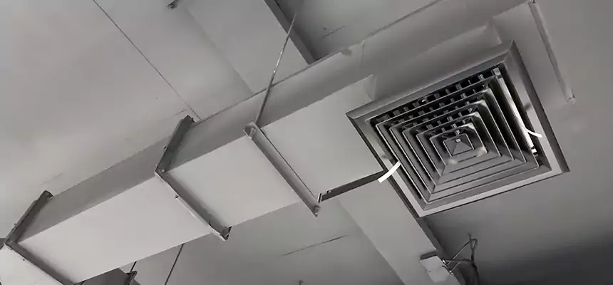 Our Rodent Droppings In Vents Services in Moses Lake, WA