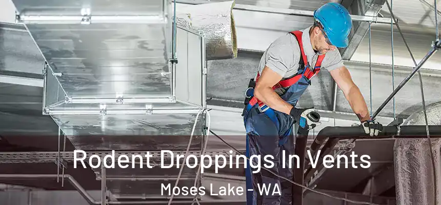 Rodent Droppings In Vents Moses Lake - WA