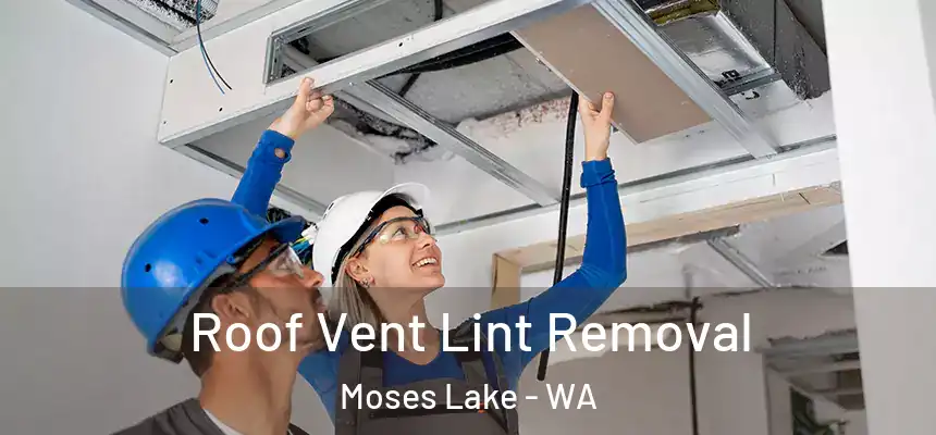 Roof Vent Lint Removal Moses Lake - WA