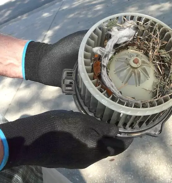 About Air Duct Mice Removal in Moses Lake, WA