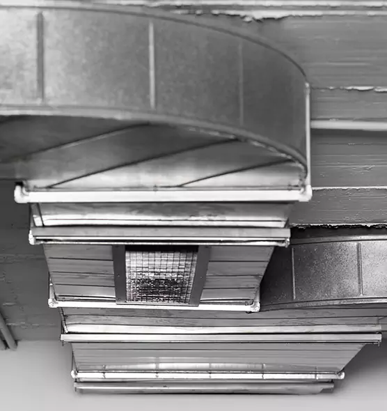 Professional Air Duct Pest Removal in Moses Lake, WA