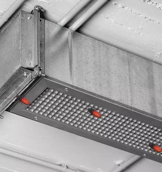 Affordable Insect Removal from Air Ducts in Moses Lake, WA