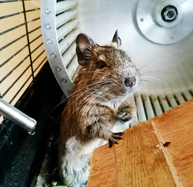 Why Homeowners & Businesses Trust Us Moses Lake, WA