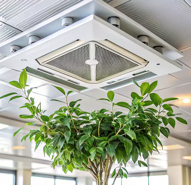 Why Homeowners & Businesses Trust Us in Moses Lake, WA?